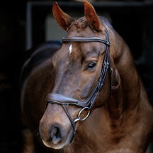 LeMieux Arika Split Noseband Bridle