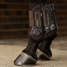 LeMieux Derby Shield Open Front Tendon Boots
