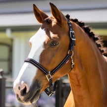 LeMieux Essential Yard Breakaway Headcollar Halter