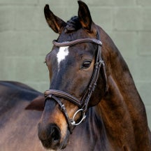 LeMieux Arika Anatomical Padded Removable Flash Bridle