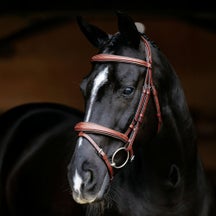 LeMieux Kudos Competition Bridle