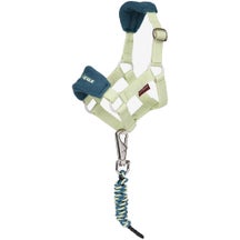 Mini Lemieux Pony Spring Toy Vogue Headcollar Halter