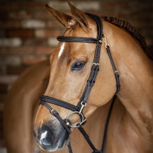 LeMieux Work Bridle