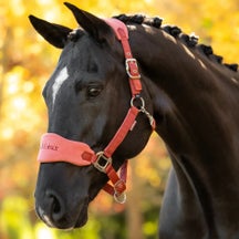 LeMieux Vogue Headcollar Russet Full