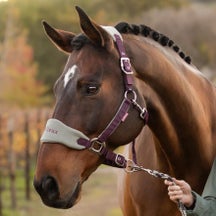 LeMieux Fall Vogue Headcollar Halter & Leadrope