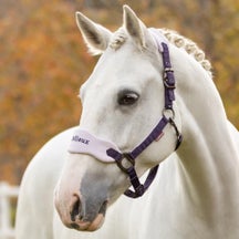 LeMieux Fall Vogue Headcollar Halter & Leadrope