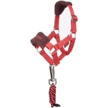 Mini LeMieux Toy Vogue Headcollar Cranberry 