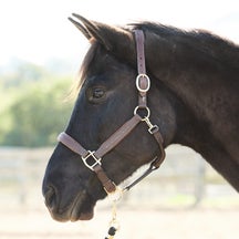 Ovation Richtan Luxury Padded Halter