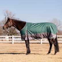 Professional's Choice 1200D Turnout Blanket 300G