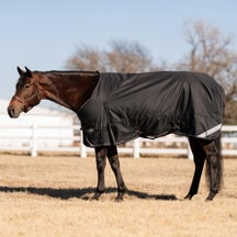 Professional's Choice 600D Turnout Blanket 240G