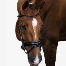 PS of Sweden General Purpose Anatomic Padded Bridle