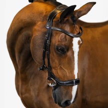 PS of Sweden Pioneer Anatomic Bridle