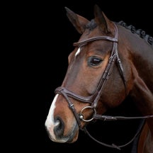 Schockemoehle Ancona Anatomical Select Bridle