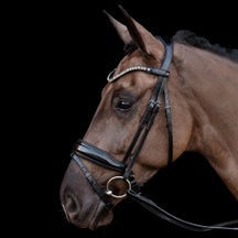 Schockemoehle Trense Siena Anatomical Dressage Bridle