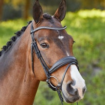 Schockemoehle Stanford Anatomic Dressage Bridle