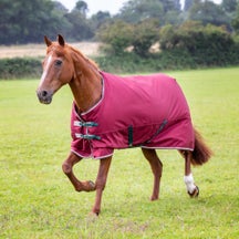Shires 600D Tempest Original Turnout Blanket 200g