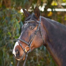 Schockemoehle Tokyo F Select Anatomic Bridle