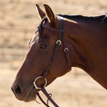 Velociti Browband Headstall with Rawhide Knot