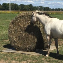Tough1 Round Bale 6'X6' No Knot Slow Feed Hay Net
