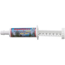 Vetline Equine Equilytes Electrolyte Paste