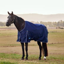 Weatherbeeta ComFiTec Prelim Standard Blanket 220G