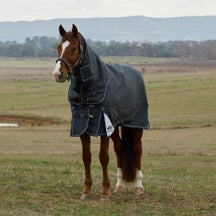 Weatherbeeta ComfiTec Ultra 1800D Turnout Blanket 100G