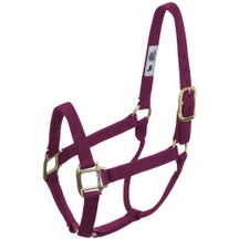 Weaver Original Nylon Horse Halter w/Brass Hardware