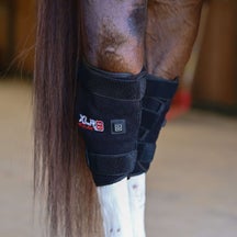 XLR8 Redline Photomedicine Therapy Hock Boots - Pair