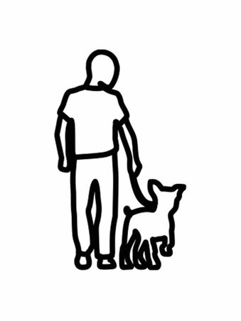 If you can walk your horse in them...