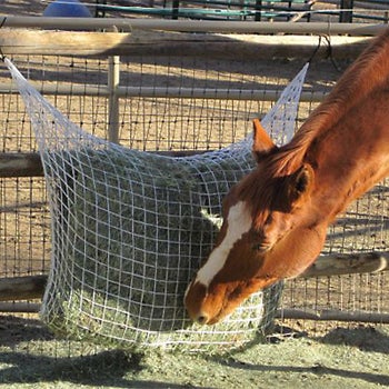 Freedom Feeder Extended Day Slow Feeder Hay Net 1 5 Riding