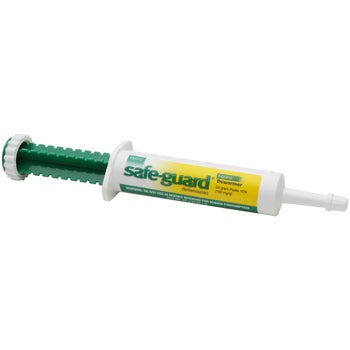 Safe-Guard Fenbendazole Horse Dewormer Paste 25G - Riding Warehouse