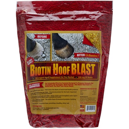 Horse Guard Equine Hoof & Hair Supplement 10 lbs | Riding Warehouse