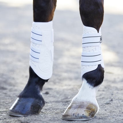 Majyk Equipe Horse Boots