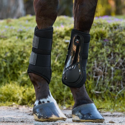 Schockemoehle Horse Boots