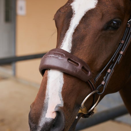 Acavallo Gel Nose and Poll Guard