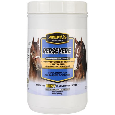 Adeptus Persevere Electrolyte Replacement