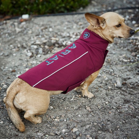 Ariat Team Softshell Dog Jacket