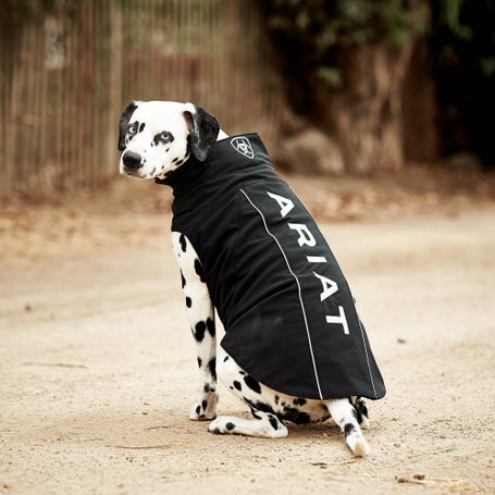 Ariat Team Logo Softshell Dog Jacket