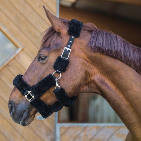 Back On Track Audrey Fleece Halter