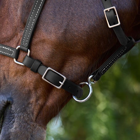 Beta Biothane In Equestrian Western Bridles & Headstalls for sale