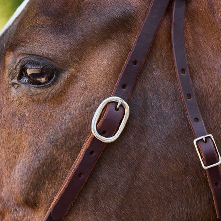 Berlin Leather Ranch Brand Browband Headstall - Thumbnail 2