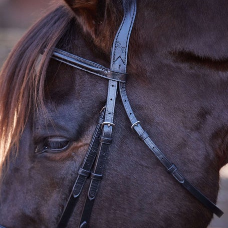 Bride De Dressage Cheval Bobby's English Tack – Cuir Noir – Taille Plein