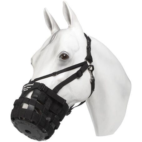 Best Friend Have A Heart Grazing Horse Muzzle Halter