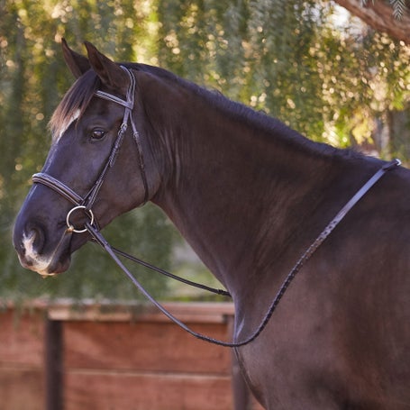 Bobbys Tack Fancy Stitched Padded Wide Noseband Bridle