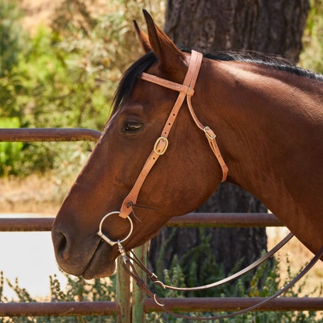 Berlin Hermann Oak Leather Browband Headstall