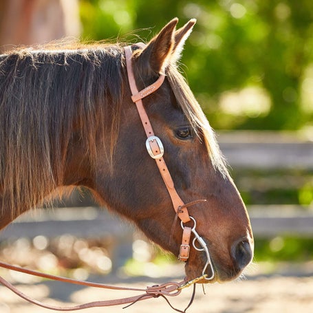 Berlin Hermann Oak Half Sliding One Ear Headstall