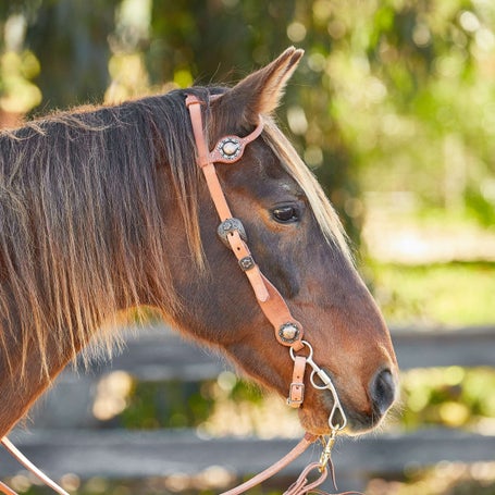 Berlin Hermann Oak One Ear Copper Concho Headstall