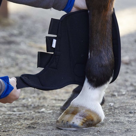 Back On Track Therapeutic Exercise Horse Boots-Front