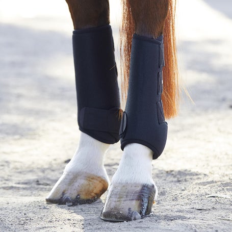 Horse Boots and Leg Wraps - Welltex® Technology - Back on Track USA