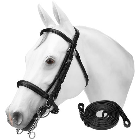 Brde de dressage équtaton Cheval et Poney - 900 nore | Horses